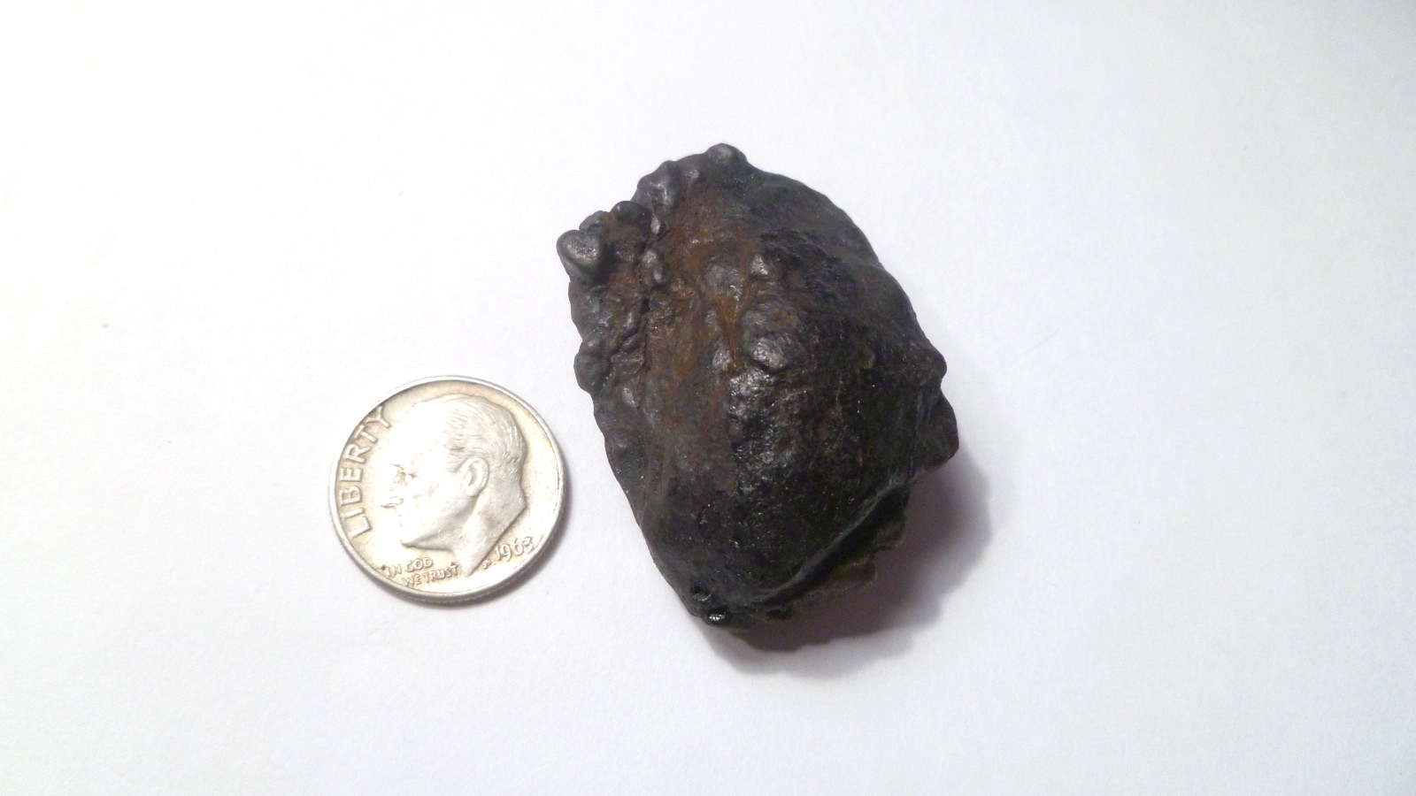 36mm Iron Space Rock Meteor 4.5 BILLION YR METEORITE Nan Dan 24.3g