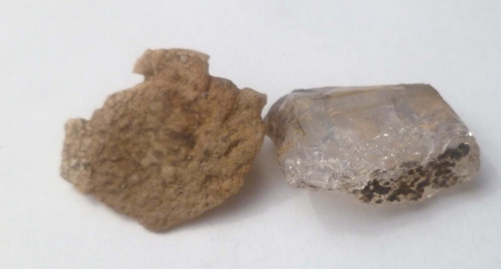 2 Virgin Valley Opal Petrified Wood Specimens Nevada