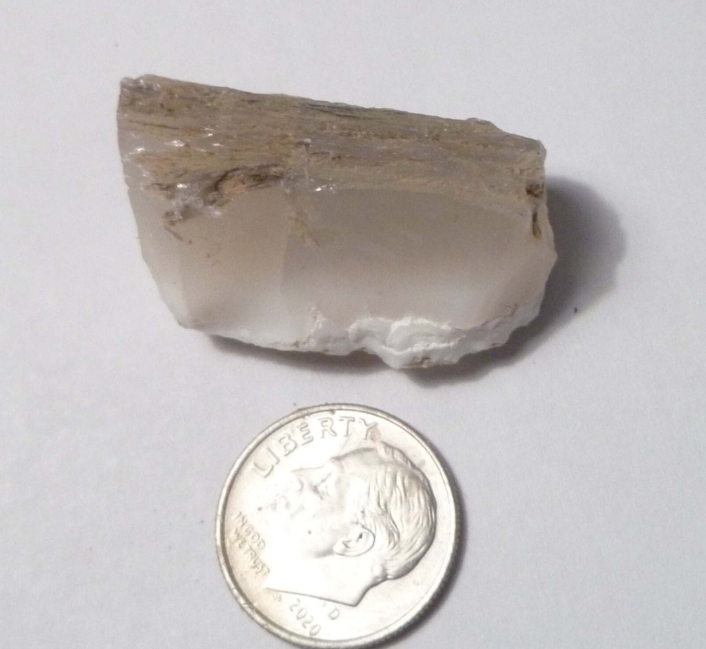 Awesome!  Virgin Valley WHITE Opal Petrified Wood Log Nevada 40 cts