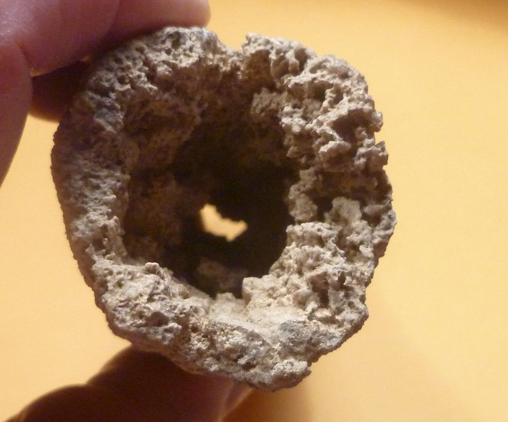 7.25" Fulgurite lightning fused sand ALABAMA Fossil Lightning Museum Piece