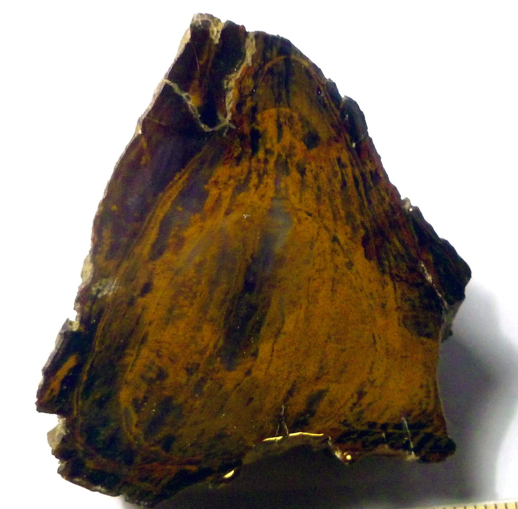 Agatized Petrified Wood Rough Cabbing 220g Polished Madagascar