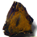 Agatized Petrified Wood Rough Cabbing 220g Polished Madagascar