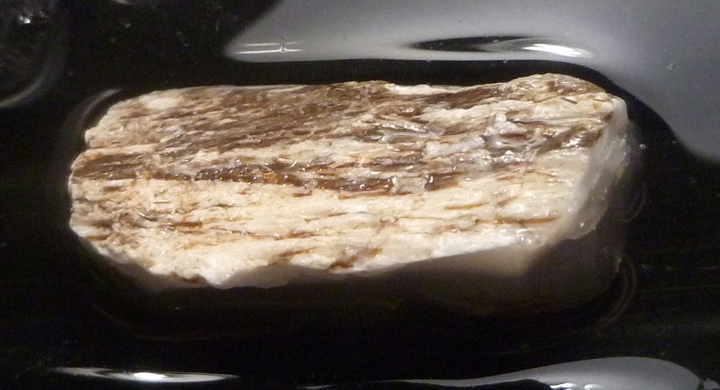 40cts Virgin Valley Opal Petrified Wood Log Specimen Nevada