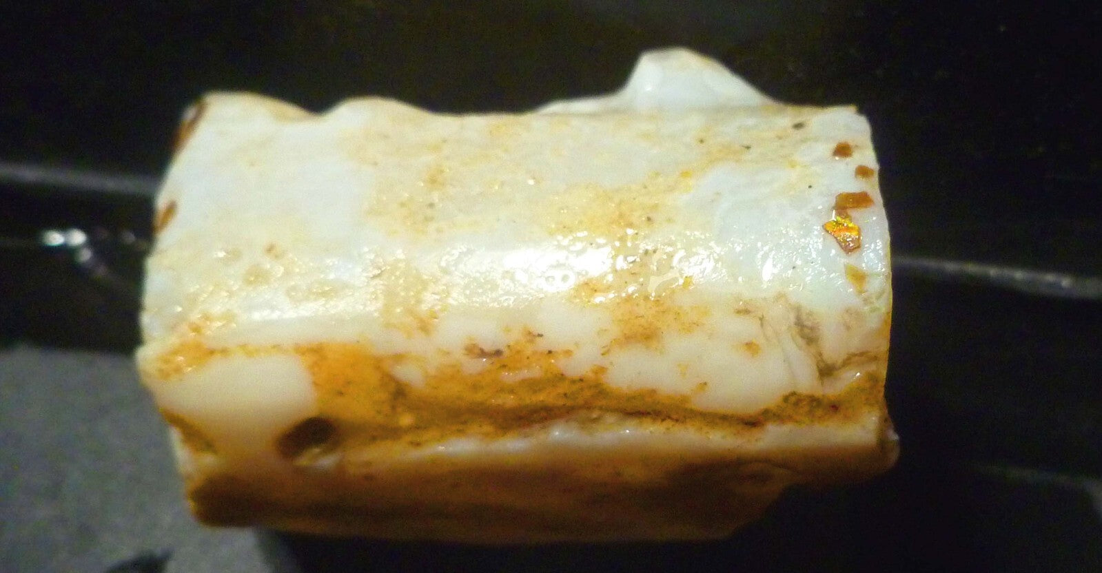 Awesome!  Virgin Valley WHITE Precious Opal Petrified Wood Log Nevada 271..2 cts