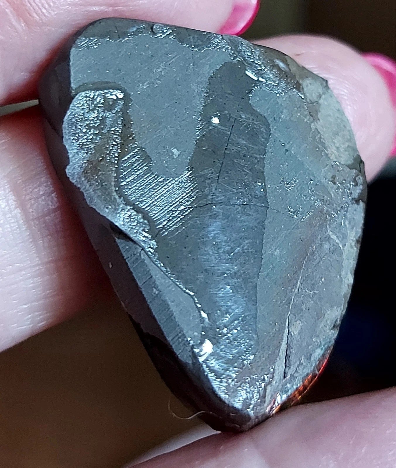 Ammolite Gem Stone 36x28x5mm Color Change Cabochon