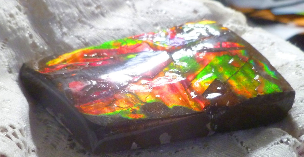 69x47x15mm  RED AMMOLITE gemstone Canada Ammonite