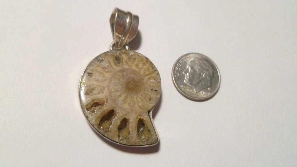 Ammonite Fossil .925 Sterling Silver Quality PENDANT 47mm