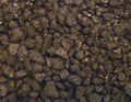 1/2lb! Wholesale Pyrite Crystals Railroad, Xmas Miniature DECORATIONS Fools Gold