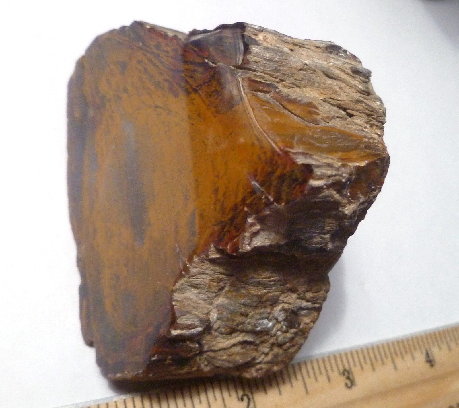 Agatized Petrified Wood Rough Cabbing 220g Polished Madagascar