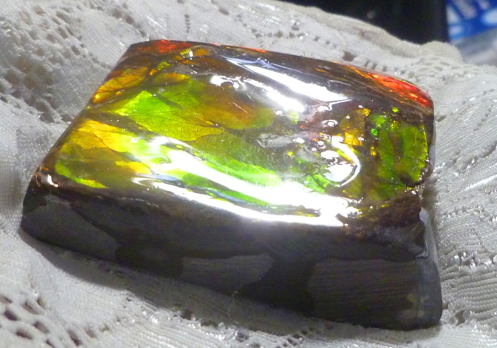 52x52x19mm  RED AMMOLITE  Color change gemstone Canada Ammonite