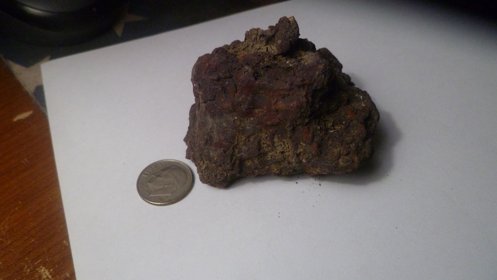 140g Fecal Fossil Dinosaur Coprolite Dung Poop Fossilized Specimen GAG GIFT!