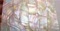 Mother of Pearl Shell INLAY OVERLAY Thin Veneer Luthier Scrapbooking