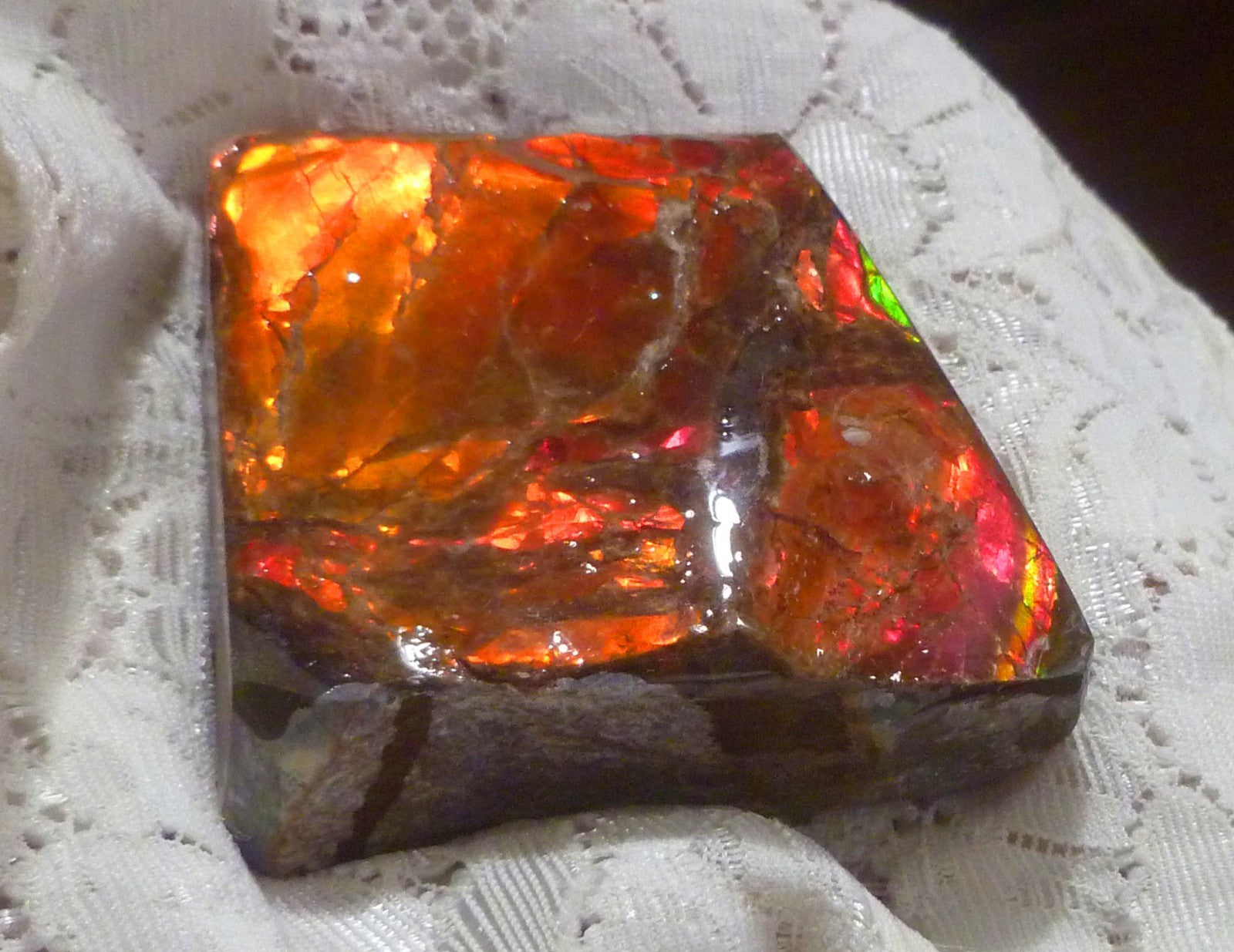 52x52x19mm  RED AMMOLITE  Color change gemstone Canada Ammonite