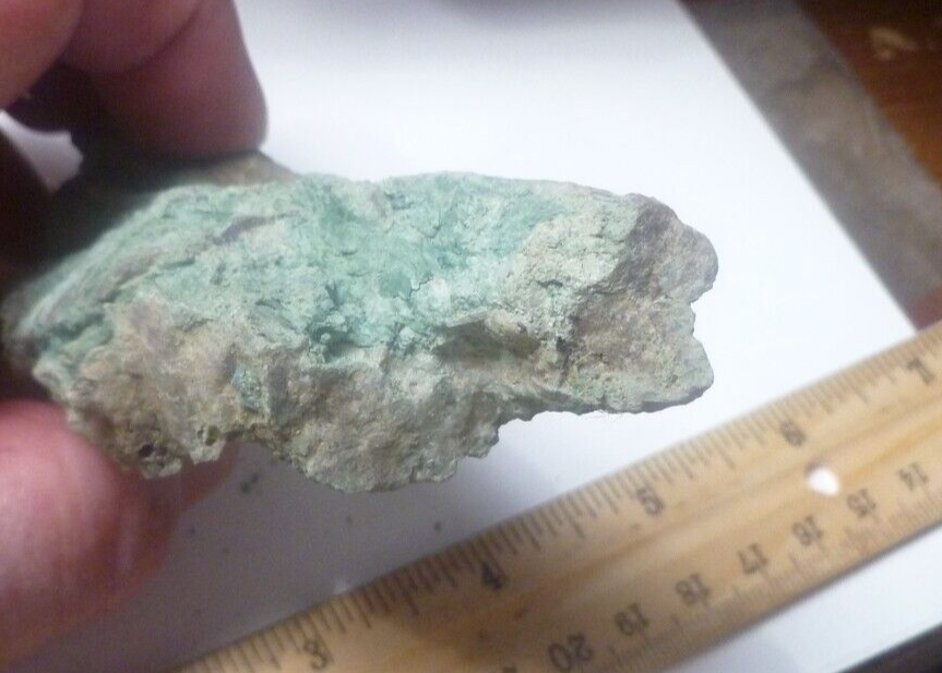 4.5" CHROMIUM! Museum Quality RARE GREEN Petrified Wood Log ARIZONA