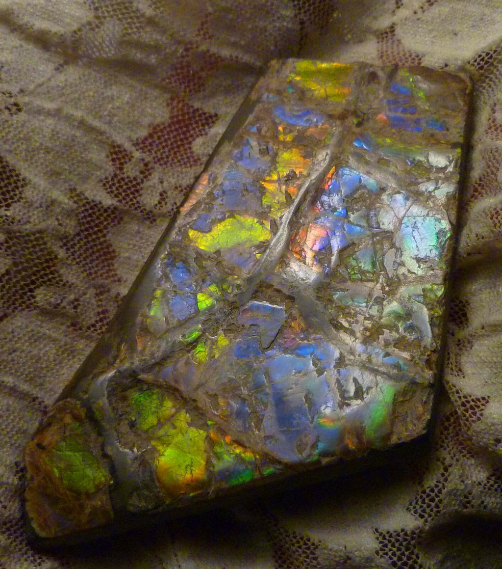 84x52mm Purple, Blue, Green, Red AMMOLITE Ammonite SIX Colors 56.4 grams