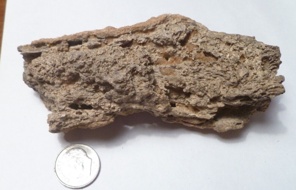 4.25" Fulgurite lightning fused sand Sahara Fossil Lightning