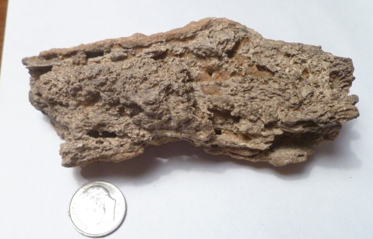 4.25" Fulgurite lightning fused sand Sahara Fossil Lightning