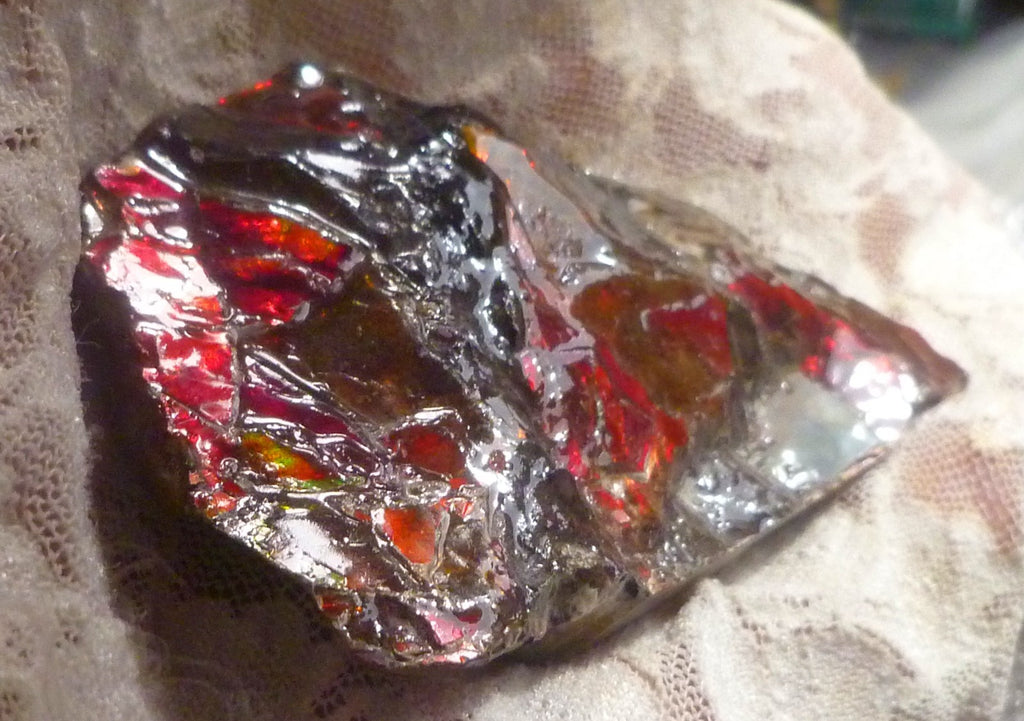 Red Ammolite 88x49x12mm AMMOLITE Ammonite Canada