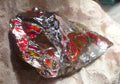 Red Ammolite 88x49x12mm AMMOLITE Ammonite Canada