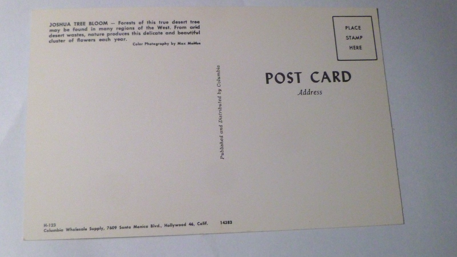 Postcard Joshua Tree Blossums California USA 1961