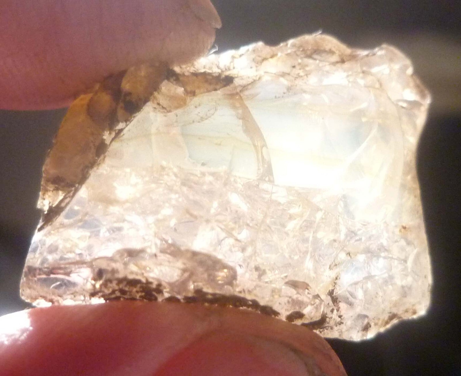 2 Virgin Valley Opal Petrified Wood Specimens Nevada