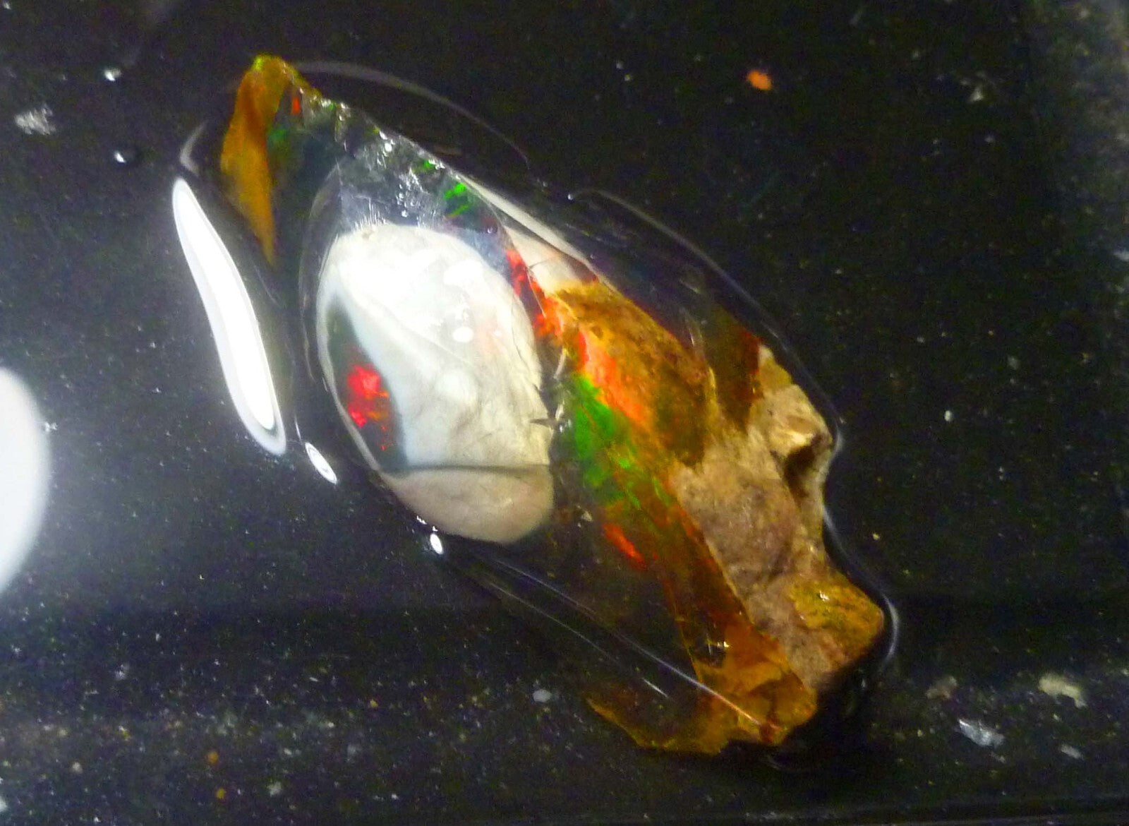SCARY! Ghost OPAL Ethiopia Precious Opal Crystal with a Ghost 52.4cts 47mm