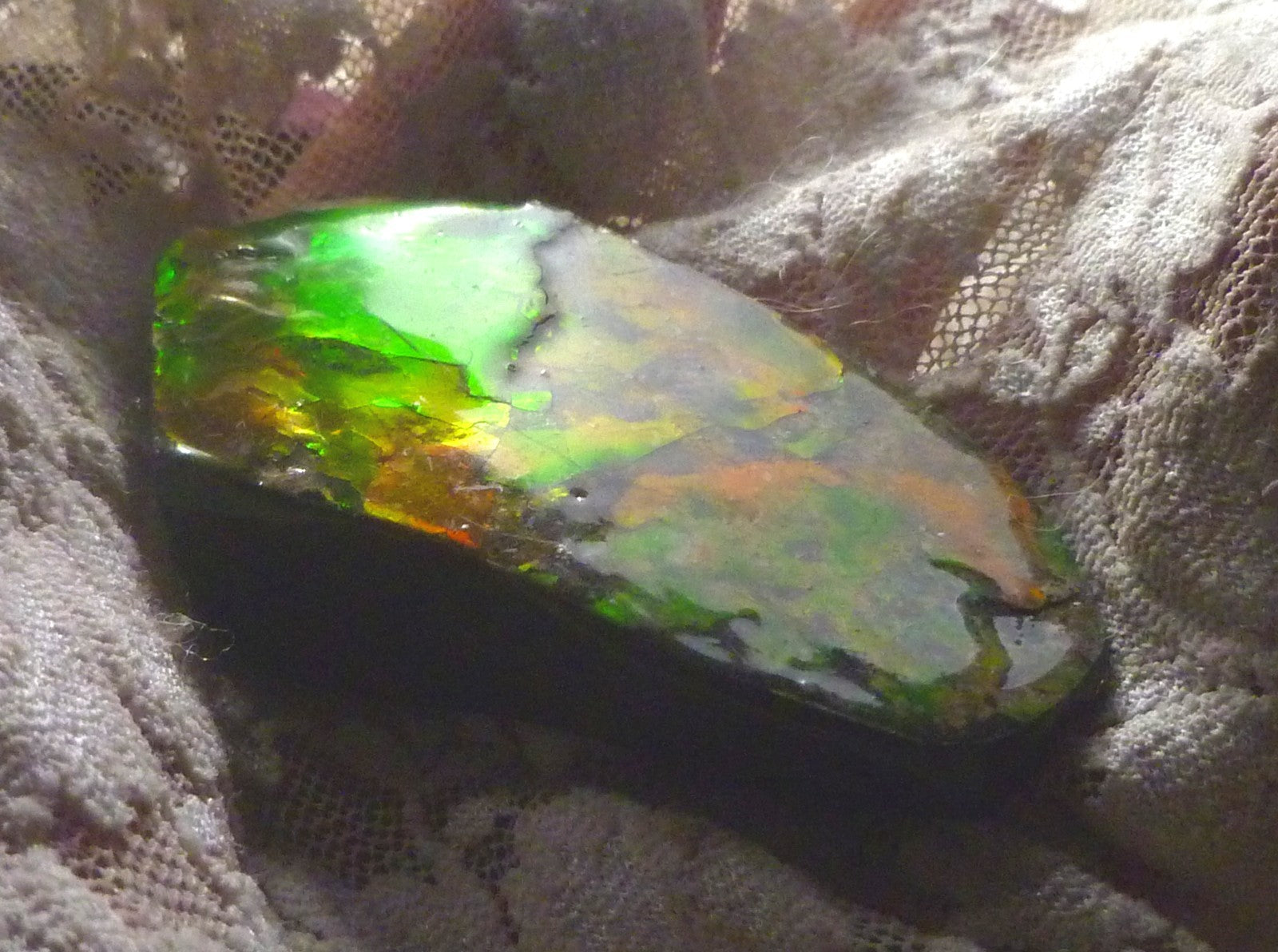65x36mm RED AMMOLITE  Color change gemstone Canada Ammonite