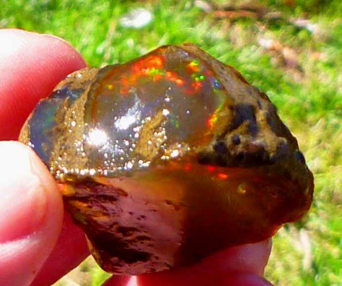 Chocolate Welo Ethiopia Precious Opal 289.4 carats Ethiopian