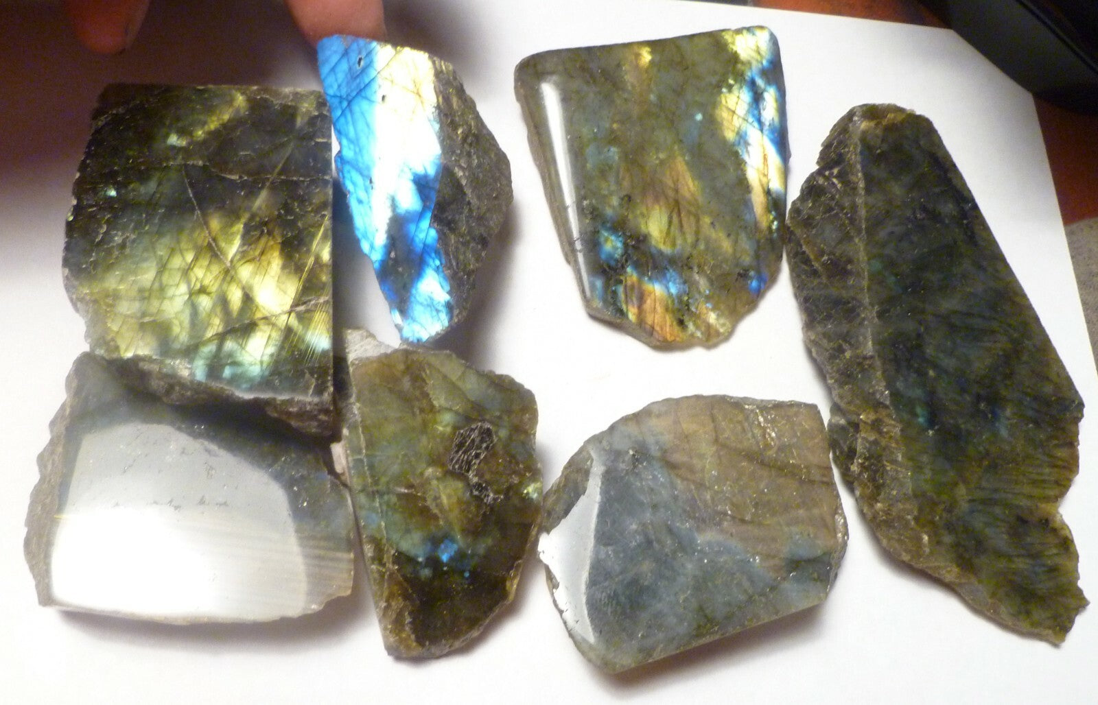 1 lb Wholesale Lot Natural Labradorite Slab / Slice Polished Face 6- 8 Peices
