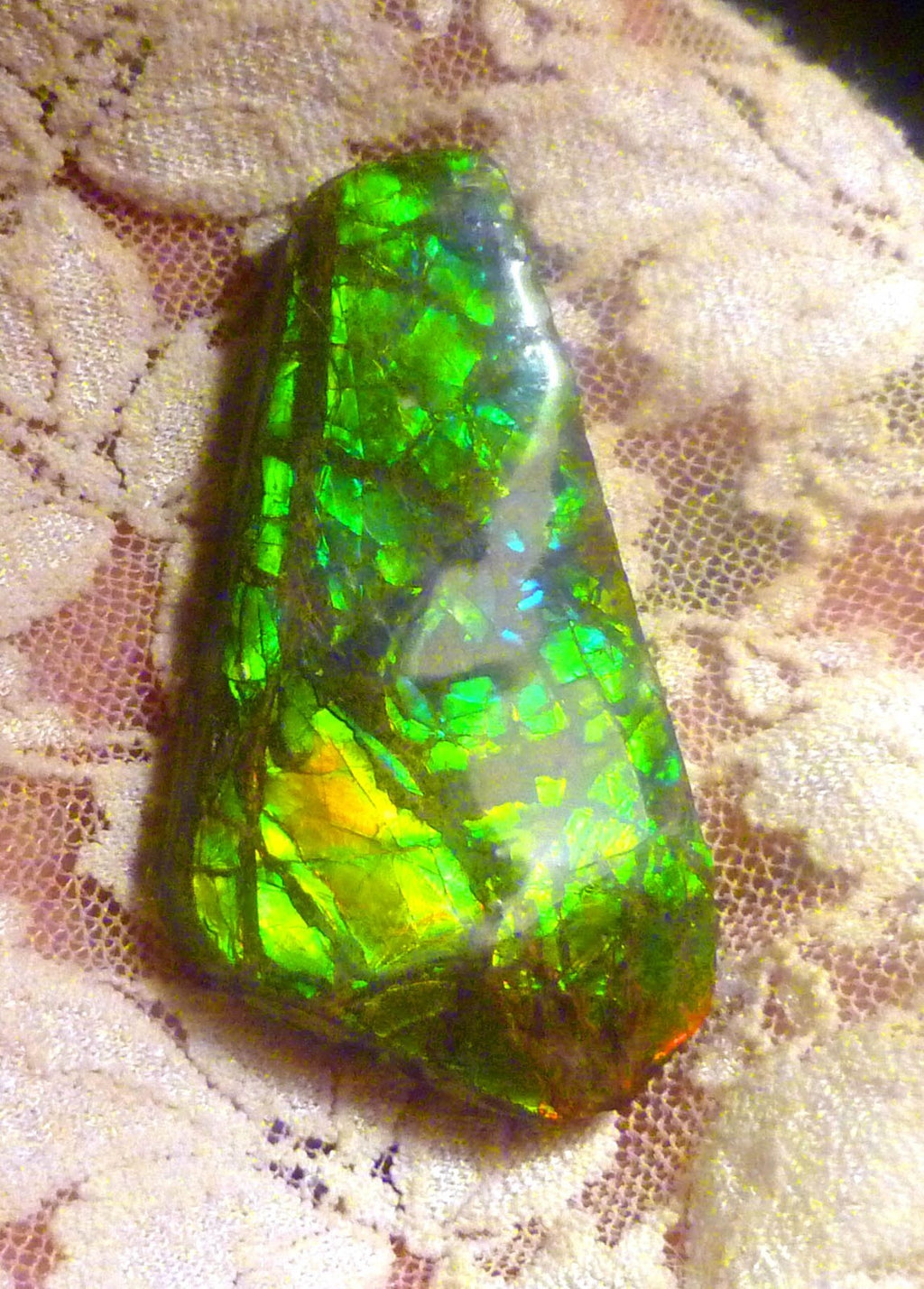 50x32mm Green AMMOLITE gemstone Cabochon Canada Ammonite