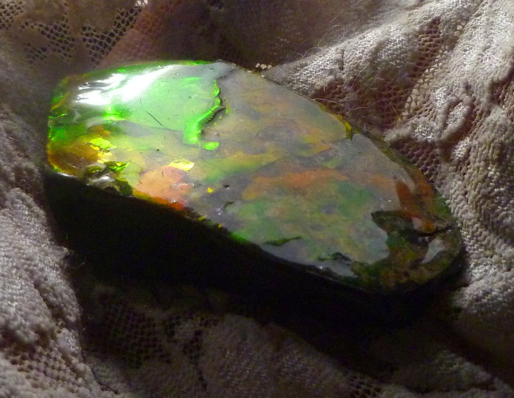 65x36mm RED AMMOLITE  Color change gemstone Canada Ammonite