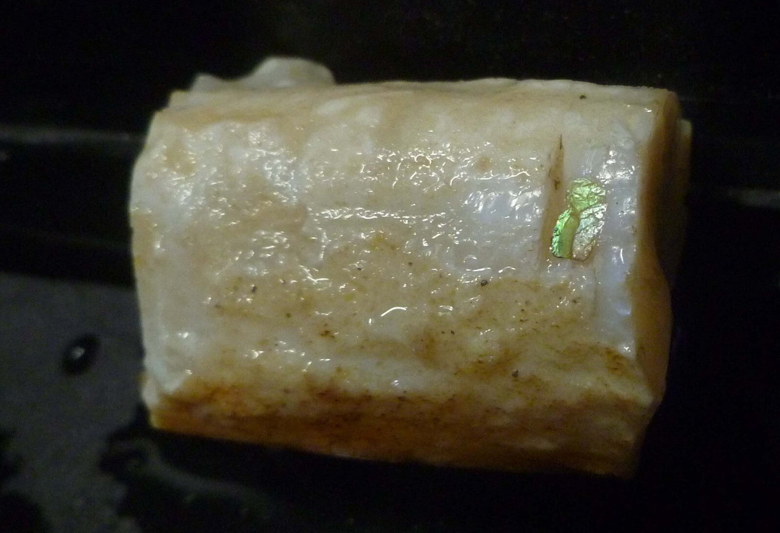 Awesome!  Virgin Valley WHITE Precious Opal Petrified Wood Log Nevada 271..2 cts