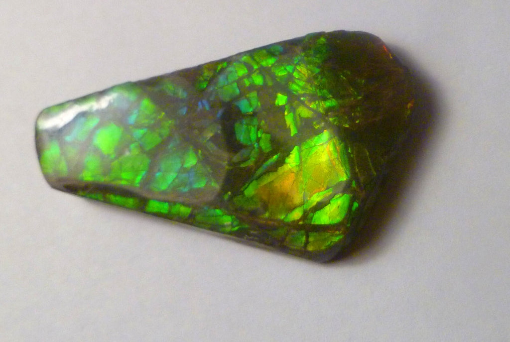 50x32mm Green AMMOLITE gemstone Cabochon Canada Ammonite