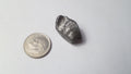 Iron Space Rock Meteor 4.5 BILLION YR METEORITE Nan Dan 4.0g