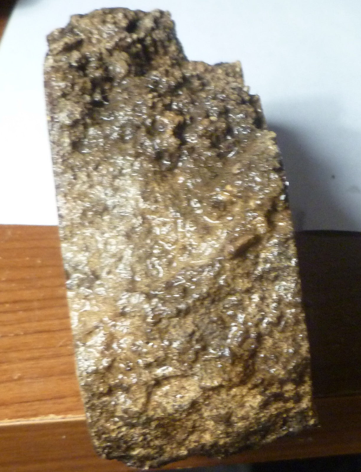 4 1/2" Blue Forest Black Petrified Wood Eocene Age Eden Valley Wyoming 540 grams