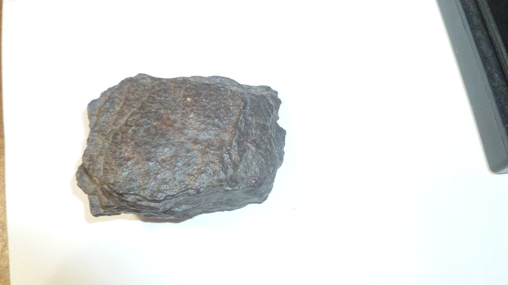 Iron chondrite meteorite, Meteorite Space Rock, Morocco 66.77 grams