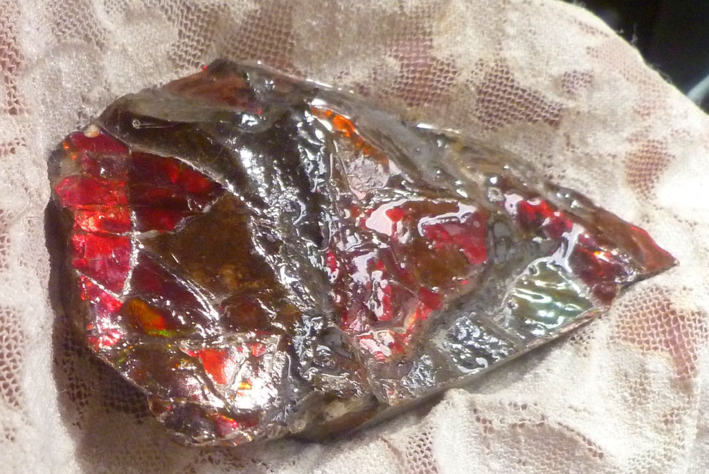Red Ammolite 88x49x12mm AMMOLITE Ammonite Canada