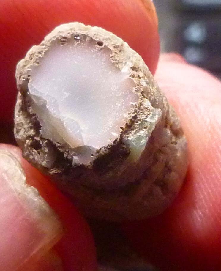 Virgin Valley WHITE PINK Opal Petrified Wood Log Nevada 10 cts