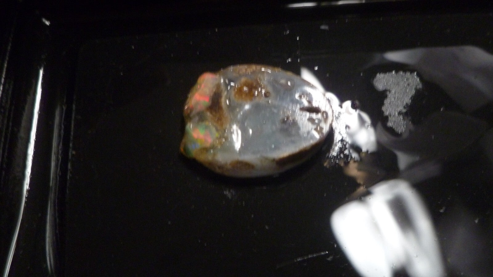 A+ Virgin Valley Precious Opal LOG SLICE Petrified Wood Nevada 20.7 carats!