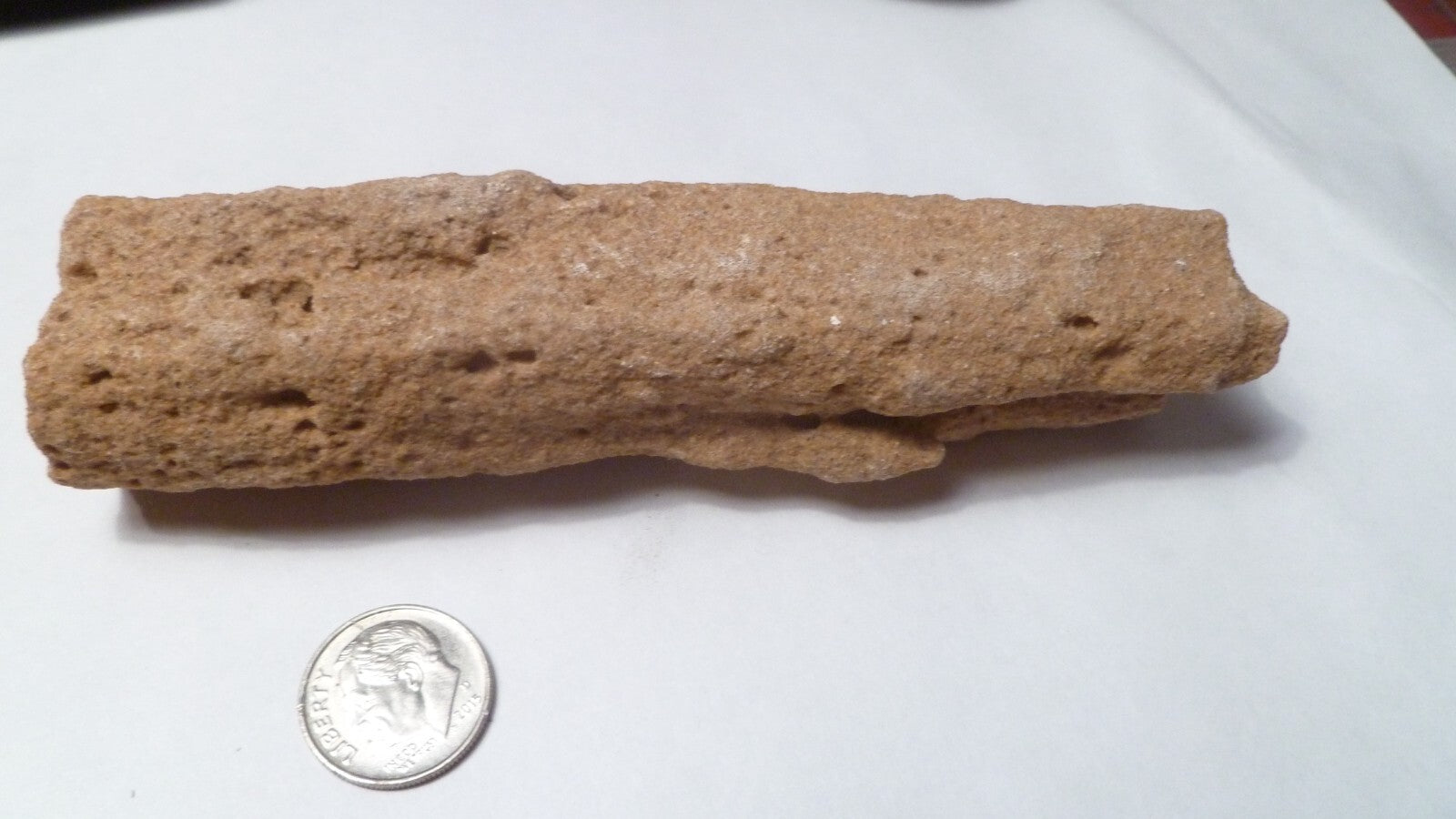 4.75" Fulgurite lightning fused sand Sahara Fossil Lightning