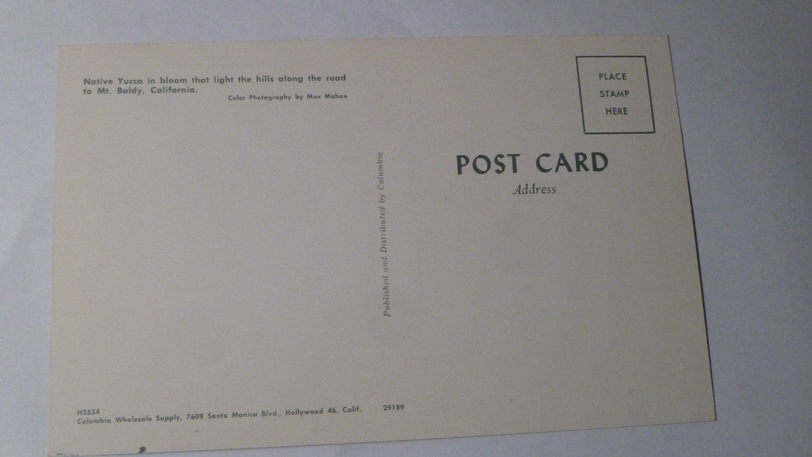 Postcard Native Yucca Road Mount Baldy California USA 1961