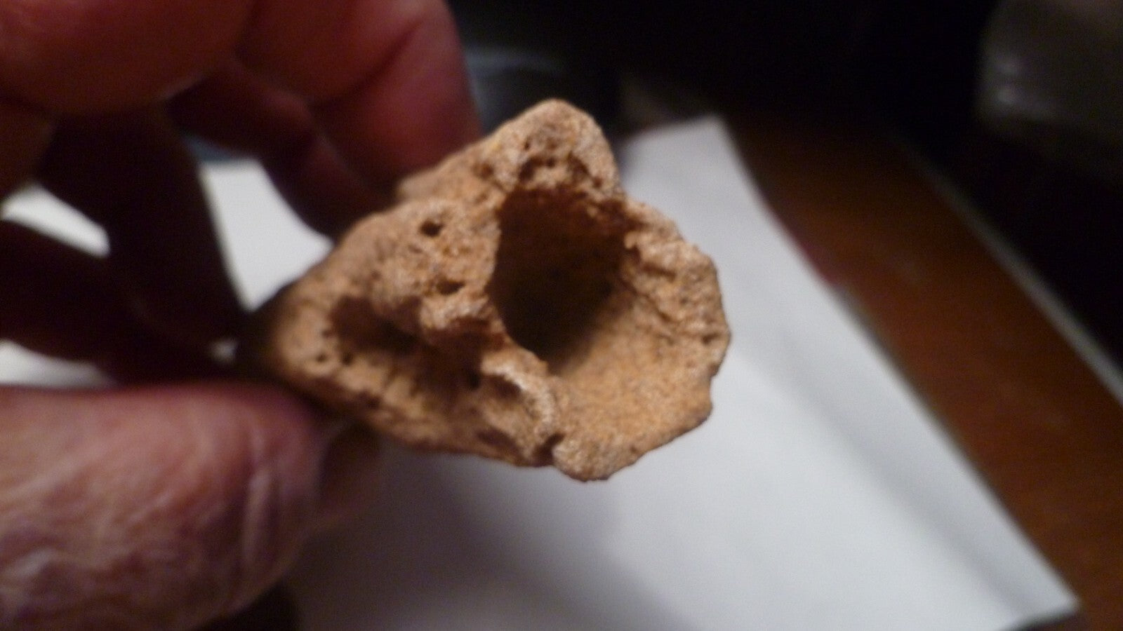 4.75" Fulgurite lightning fused sand Sahara Fossil Lightning