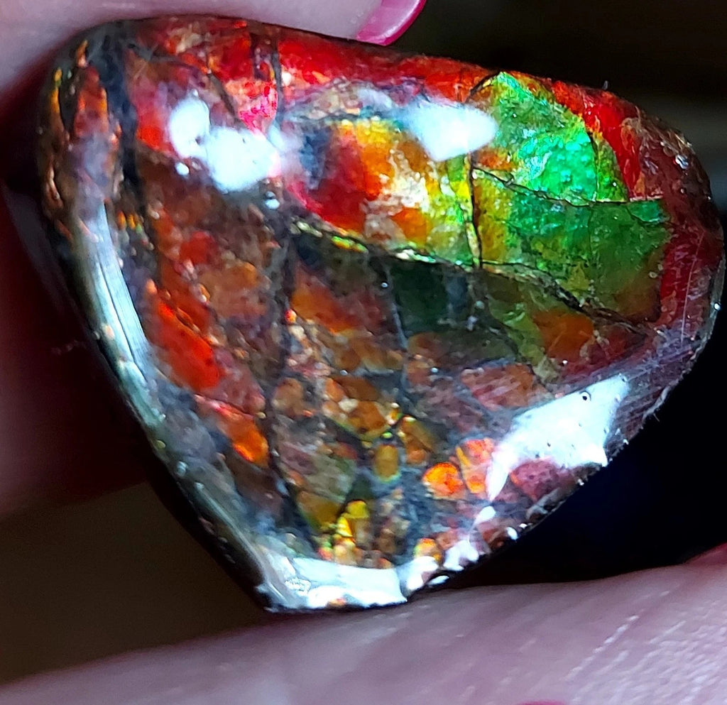 Ammolite Gem Stone 36x28x5mm Color Change Cabochon