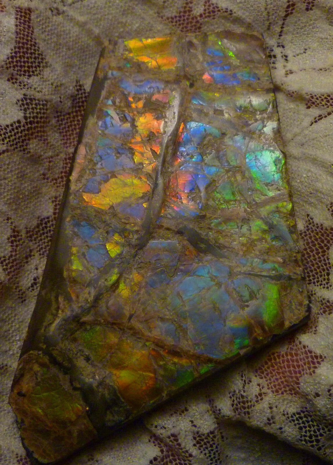 84x52mm Purple, Blue, Green, Red AMMOLITE Ammonite SIX Colors 56.4 grams