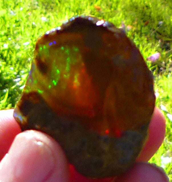 Chocolate Welo Ethiopia Precious Opal 289.4 carats Ethiopian