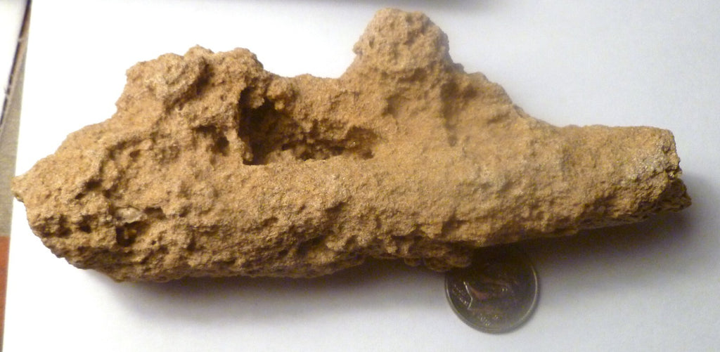 TOTALLY TUBULAR! 4.75" Natural Glass DOUBLE FULGURITE from LIGHTNING 121mm