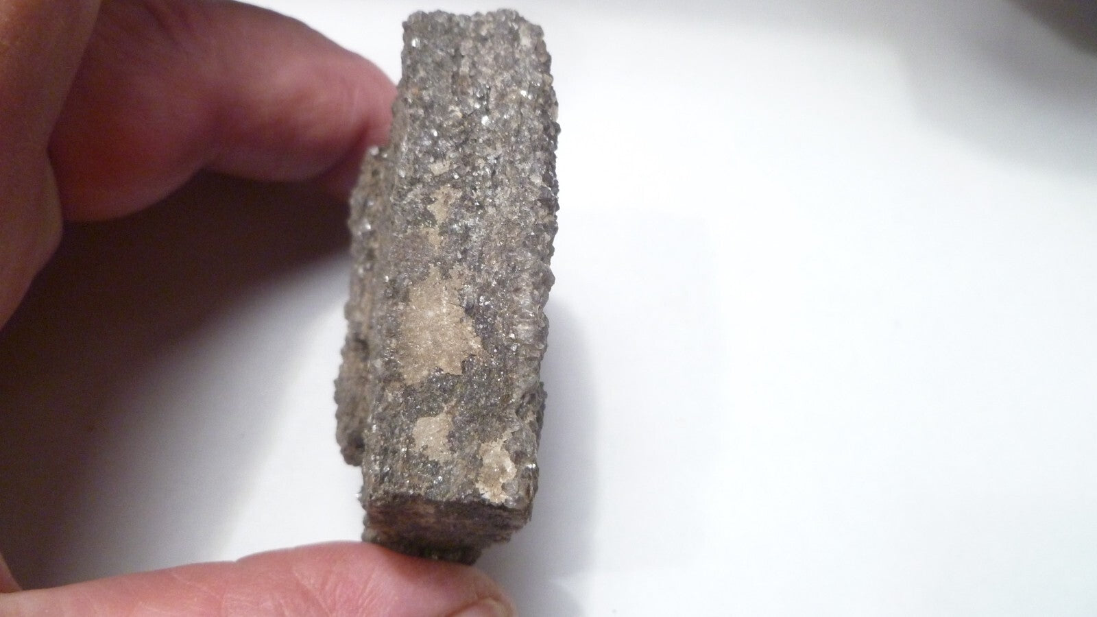 56mm PETRIFIED WOOD Druzy Quartz Crystal Cluster Mineral Specimen ALABAMA RARE