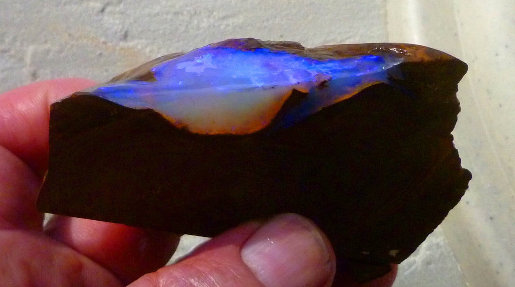 Boulder Opal FIRE & Blue Precious Rough Specimen Australian 700cts