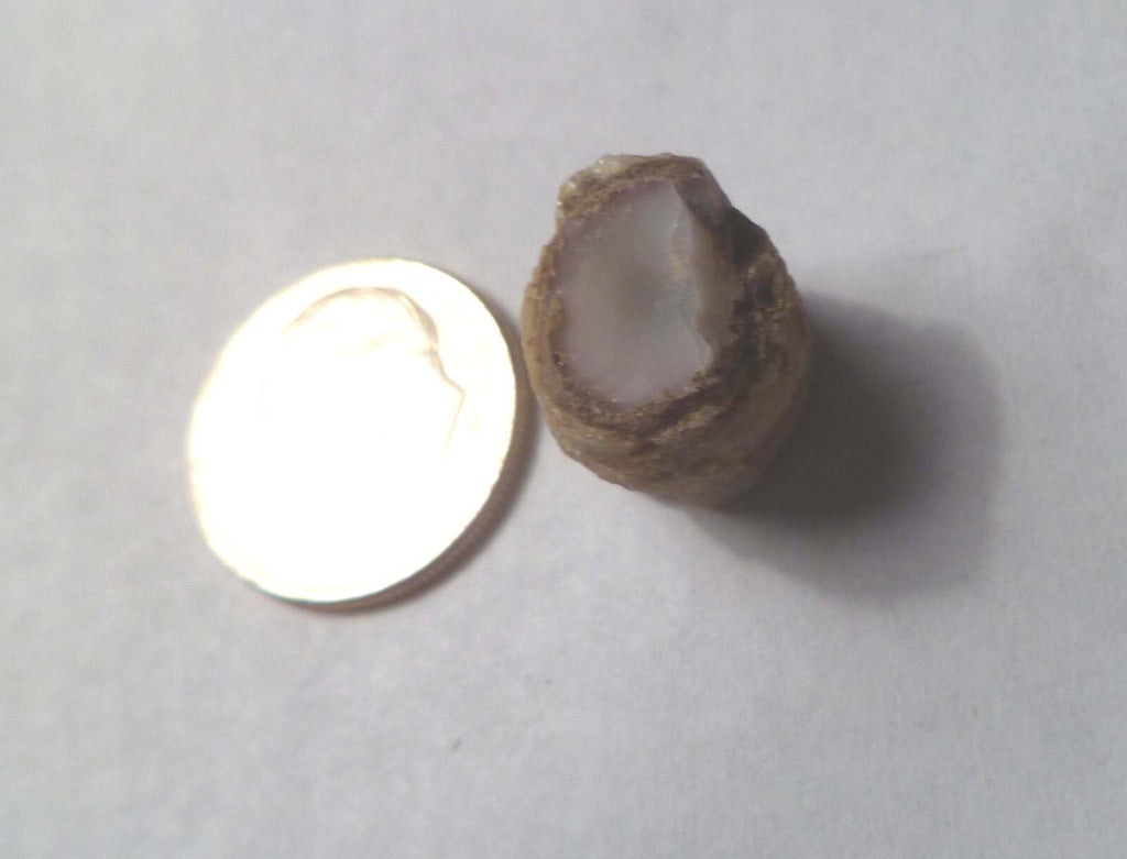 Virgin Valley WHITE PINK Opal Petrified Wood Log Nevada 10 cts