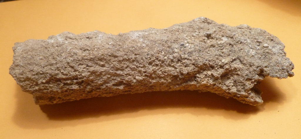 7.25" Fulgurite lightning fused sand ALABAMA Fossil Lightning Museum Piece